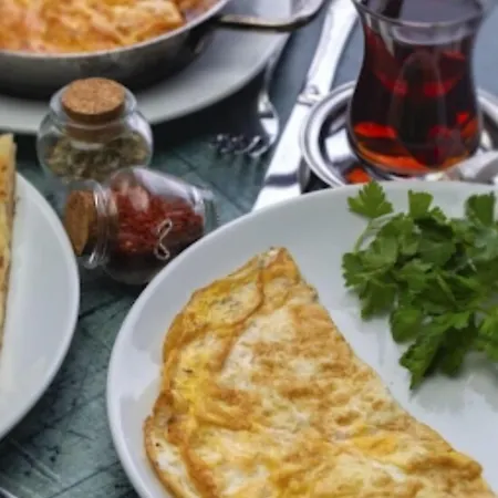 Hotel Kizilkaya Business